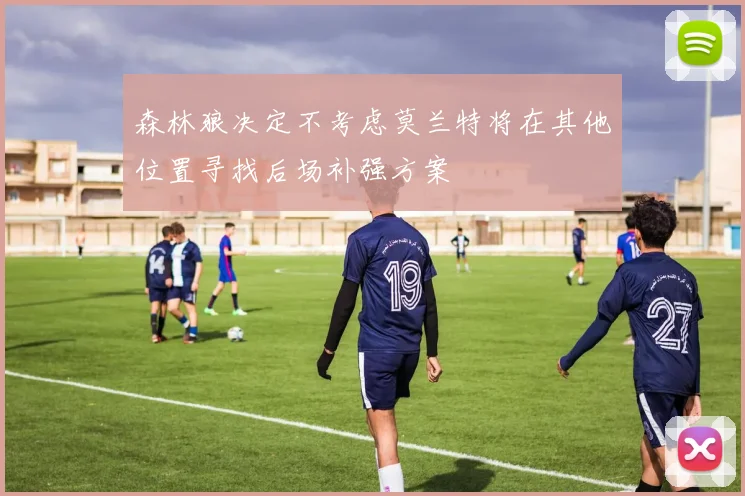 森林狼决定不考虑莫兰特将在其他位置寻找后场补强方案