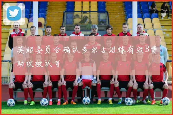 英超委员会确认多尔古进球有效B费助攻被认可