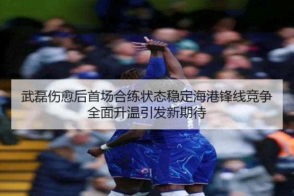 武磊伤愈后首场合练状态稳定海港锋线竞争全面升温引发新期待